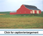This large gambrel-roofed barn with a shed addition is typical of valley hay and grain barns constructed during the early 20th century.