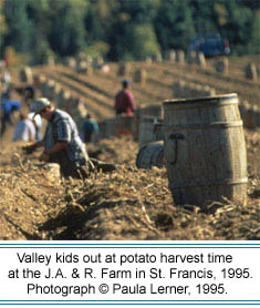 Valley kids help out at potato harvest time at the J.A. & R. Farm in St. Francis, 1995.  Photographer: Pauler Lerner,   2003.